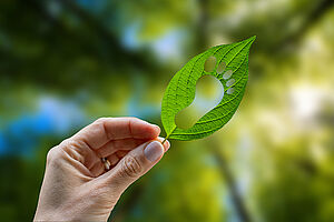 Un'impronta ritagliata su una foglia verde: l’impronta della nostra responsabilità ecologica. Riduciamo le emissioni di CO2 risparmiando sulla carta senza gravare sull’ambiente.