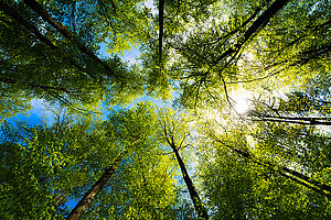 Responsible for Tomorrow e FIOR & GENTZ. La sostenibilità e la protezione del clima sono fortemente ancorati nella nostra strategia aziendale. Operiamo in modo responsabile per tutelare il futuro e l’ambiente e lavoriamo per utilizzare le risorse in modo efficiente ed evitare sprechi.